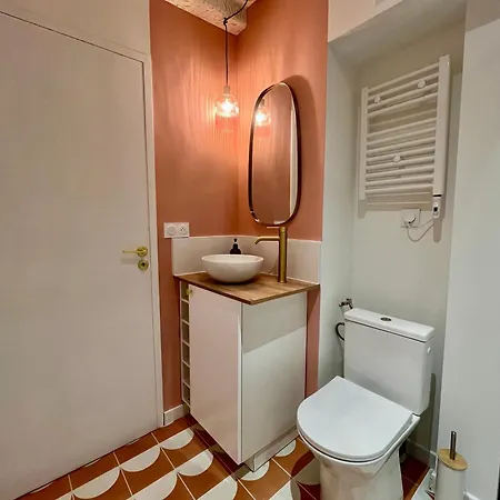 Le Bellegarde - Hypercentre Et Jacuzzi Daire Toulouse