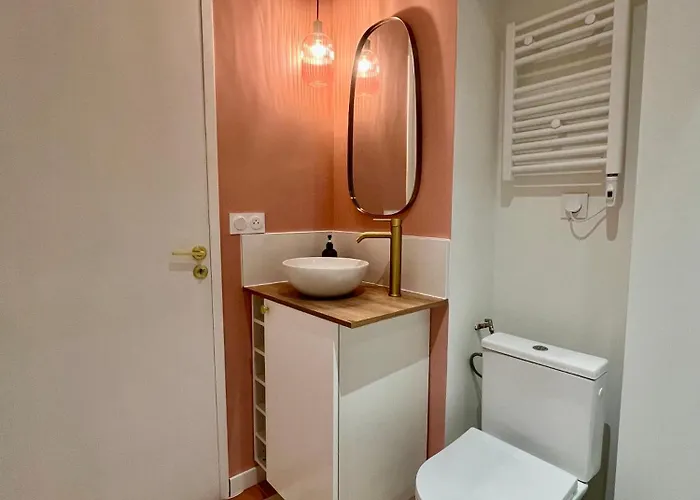 Le Bellegarde - Hypercentre Et Jacuzzi شقة تولوز